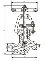 J61Y-200/250/320�߉��վ��ֹ�y��Ҫ�����B�ӳߴ�D