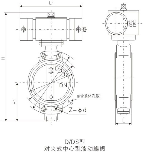 D/DS��Һ�ӌ��Aʽ�о�̼䓵��y�����ߴ�D